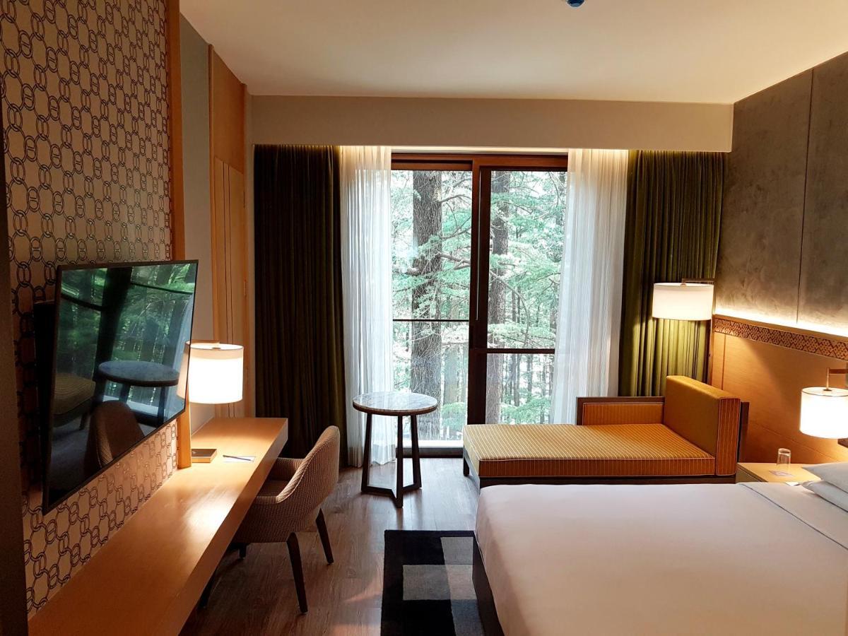 Hyatt Regency Dharamshala Resort Zewnętrze zdjęcie